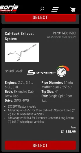 140615bc Borla S Type Cat-back Exhaust System F150 2015-2020
