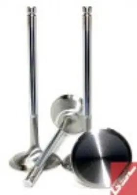 2134-8 Gsc Power Division Exhaust Valve Sets 1mm - System