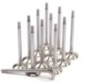 2145-12 Gsc Power Division Exhaust Valve Sets 1mm - System