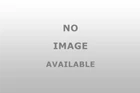 Weigh Safe For Tt Mw 6' Drop 2' Shank Wdh 12500 Gt * Heavy Duty New. Price: $1054.99.
