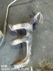 Rear Exhaust Manifold Oem 00-06 Jeep Wrangler 1YR Wrnty 53010199 Used. Price: $75.00.