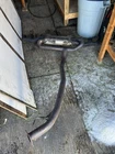 Nissan Gtr R35 Oem Exhaust Muffler And Midpipe 20100JF00A (no Tips) Used. Price: $600.00.
