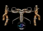 Lamborghini Revuelto Acoustiq Atelier Exhaust System 304 Ss New. Price: $14400.00.