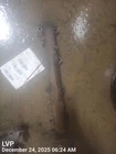 Right Exhaust Manifold Oem 11-14 Ford F250SD 1YR Wrnty Used. Price: $85.00.